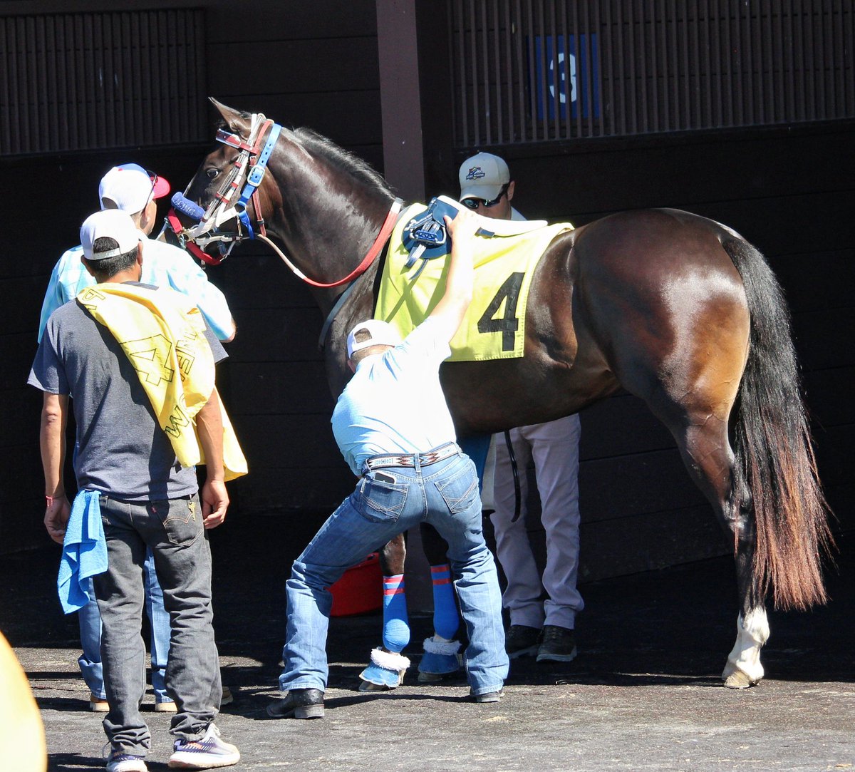 JimmyNeubs's tweet photo. It takes a village...gate crew, identifier,starter and valets!
@prmracing https://t.co/fi7rHuQCcR
