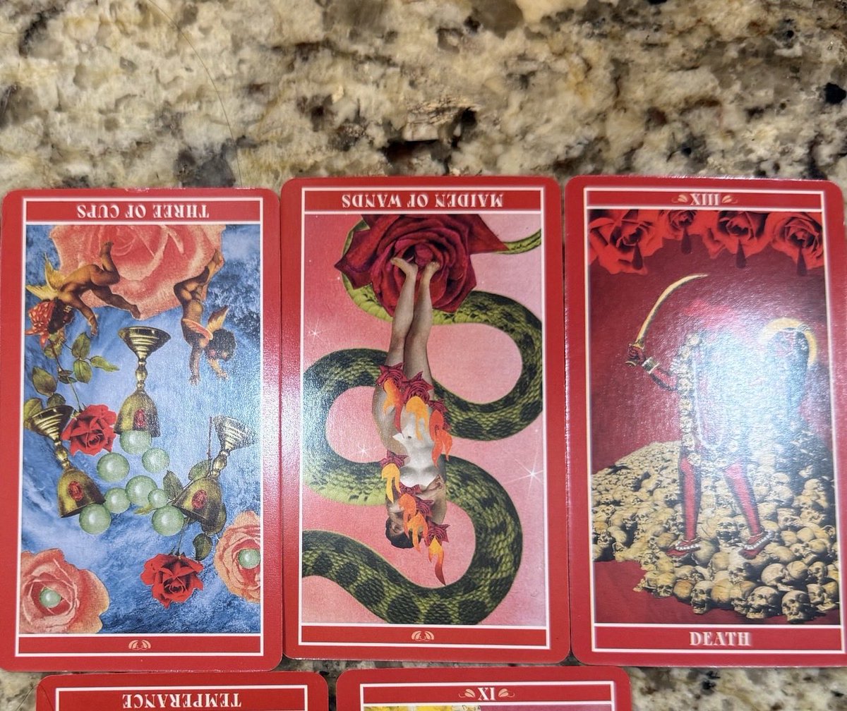stormyfleur's tweet photo. Three of cups reversed, Page of wands reversed, &amp; death. Tarot for Virginia Giuffre. Her “husband” is extremely suspicious in her “suicide” even taking her own kids. Hmm… JUSTICE FOR VIRGINIA GIUFFRE! https://t.co/Bm2uGgmm9K