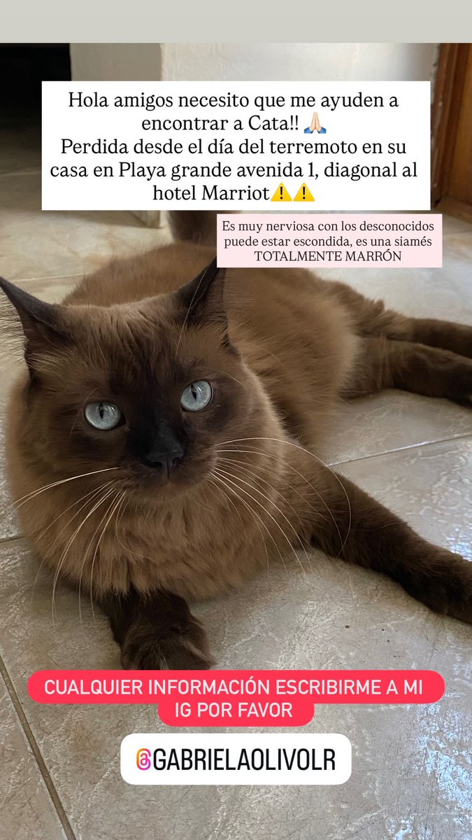 UProzac's tweet photo. Publicándote todos los días Cata 🙏🏻Ayúdame a encontrarla por favor !!! #laguaira https://t.co/D5sj4QjJvB