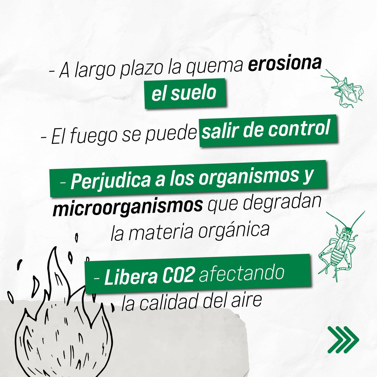 CropLife_La's tweet photo. Con ayuda de las tecnologías y las Buenas Prácticas Agrícolas BPA, se puede ayudar a preservar los suelos y la sostenibilidad alimentaria de nuestros países, cuidando el medio ambiente. Conoce más acá: https://t.co/DbfLgeSJkt https://t.co/IGI6OVkVaI