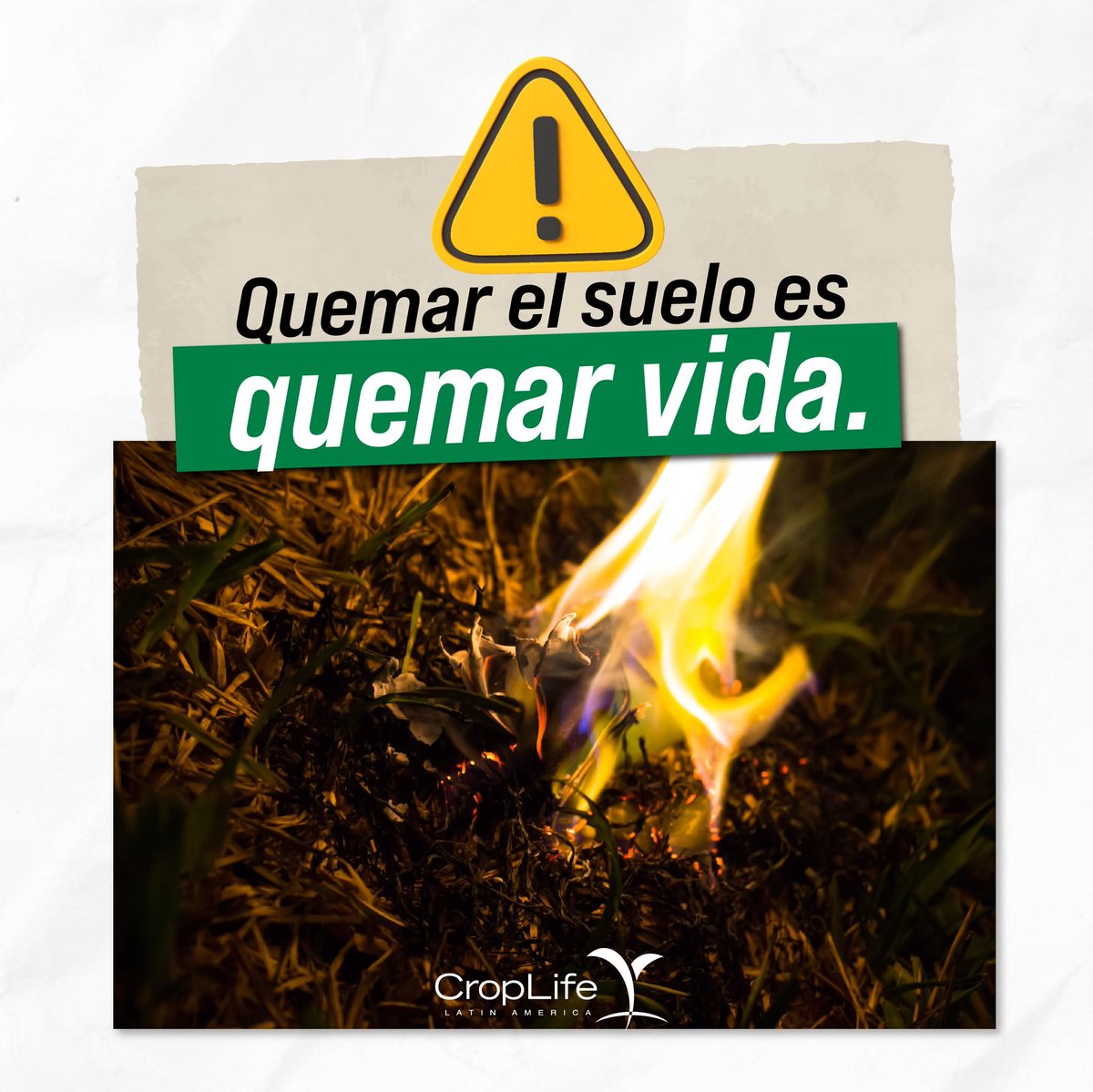 CropLife_La's tweet photo. Con ayuda de las tecnologías y las Buenas Prácticas Agrícolas BPA, se puede ayudar a preservar los suelos y la sostenibilidad alimentaria de nuestros países, cuidando el medio ambiente. Conoce más acá: https://t.co/DbfLgeSJkt https://t.co/IGI6OVkVaI