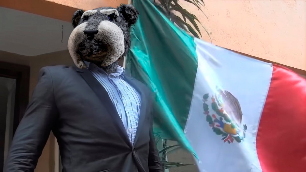 AtletideSanLuis's tweet photo. ¿Y SI SI? 🥹🇲🇽 

¡VAMOS, @miseleccionmx!

#ConAlmaPotosina https://t.co/mzTITD3GGw
