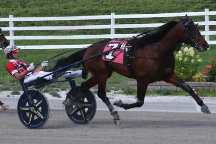harnesselite's tweet photo. 🚨 Racing Update

Today's live racing has been cancelled at both Oak Grove and Georgian Downs due to extreme heat and concerns for the safety of horses and drivers. Stay tuned for schedule updates. ☀️🐎
https://t.co/JzaFMNmHHs
#HarnessRacing #OakGrove #RacingUpdate https://t.co/9RtZa5FT5F