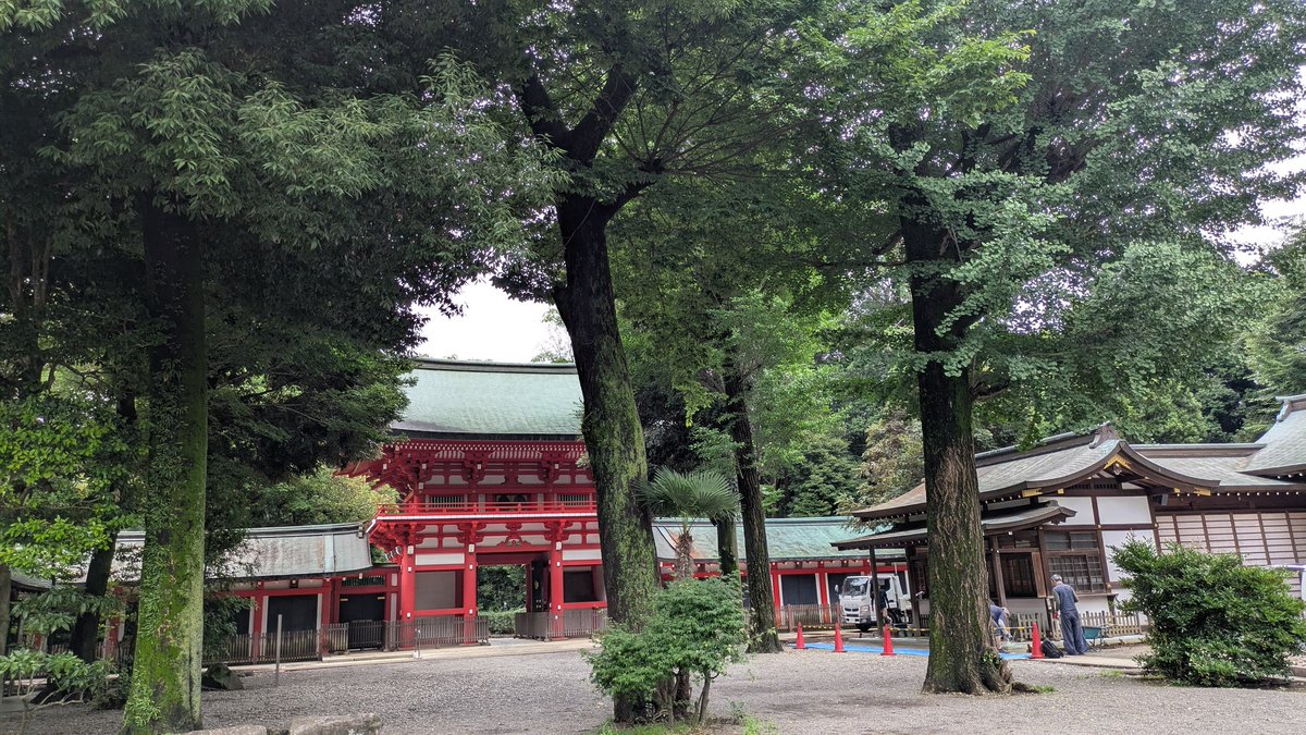 wing_nano's tweet photo. 一昨日、友人とバスで神社へ。3駅乗り過ごし歩いて3駅戻った街道の街路樹が立派てした。樹木の多い地域で神社境内も立派な樹木ばかり。人影がなく鳥の囀り響く神聖な空気感。杉並区だけれど閑静な住宅地の中の鎮守の森。もともと神社寺院の土地が住宅地になった感じの雰囲気でした。 https://t.co/rrERmOdqtM
