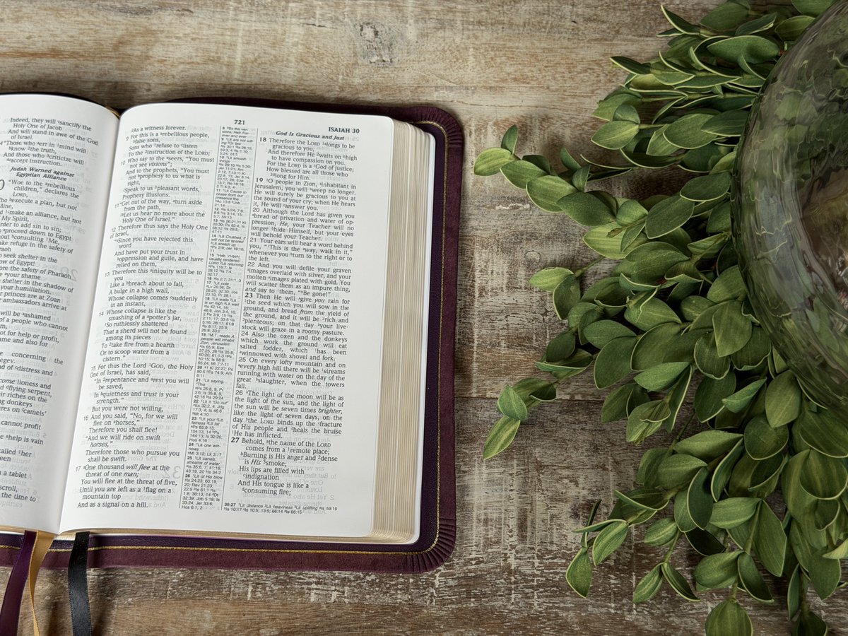Rock Wall Bibles tweet media