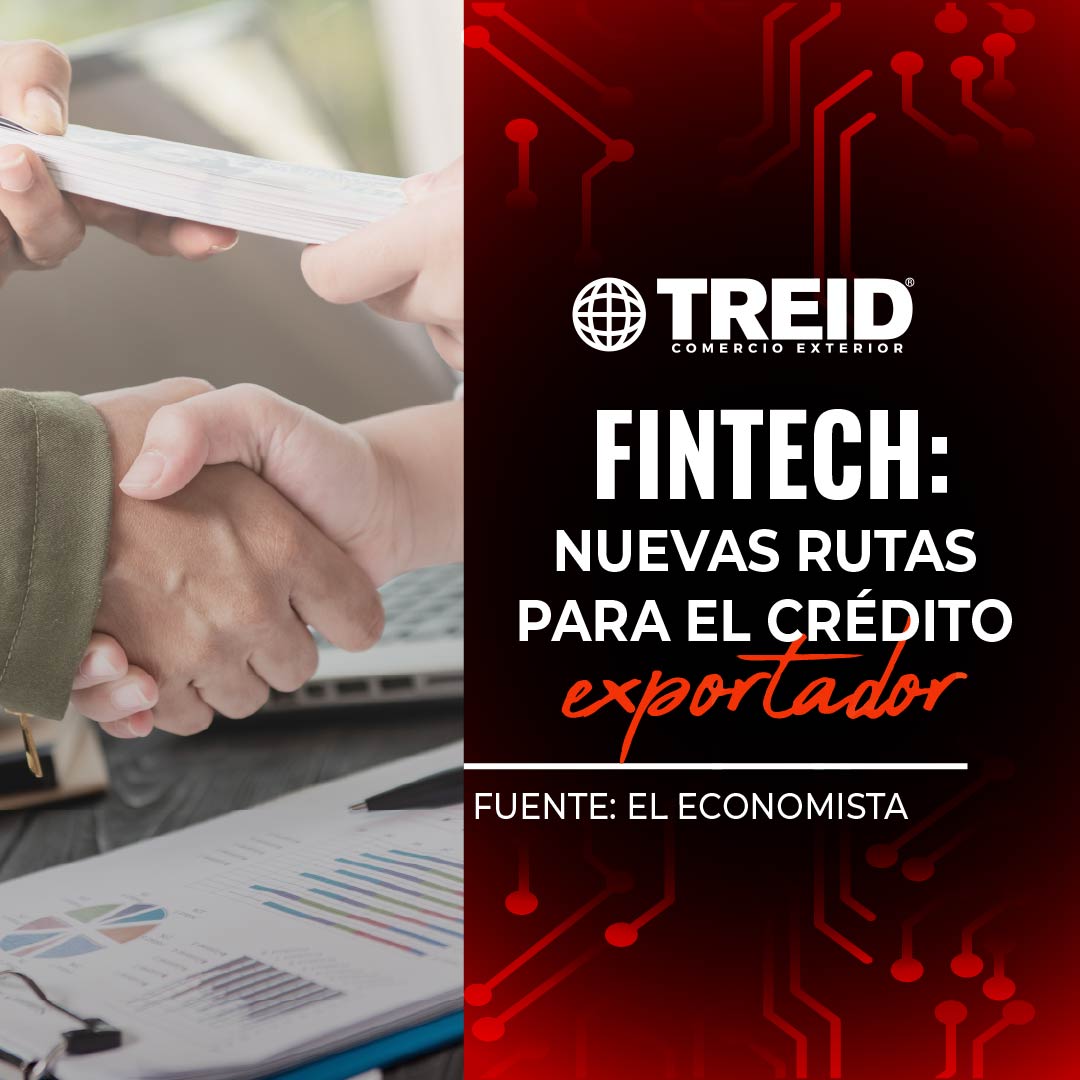 TREIDCOMEXT's tweet photo. Fintech: Nuevas rutas para el crédito exportador
Info completa en nuestra bio🌐
https://t.co/i71YdXyusT
#comercioexterior #credito #mexico https://t.co/3KTdSefUjX