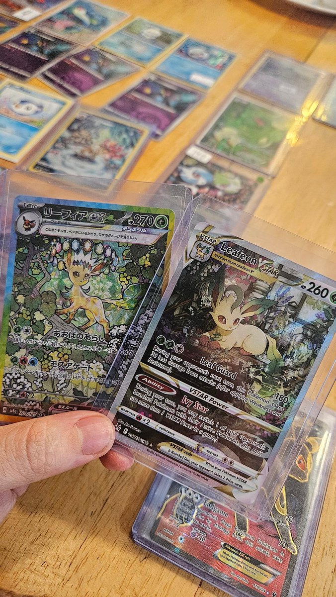 Nocteon1's tweet photo. Nice trades at my very first Card show ! Got  cards i always wanted ! #pokemonㅤㅤㅤ https://t.co/KIbdAhWTNp