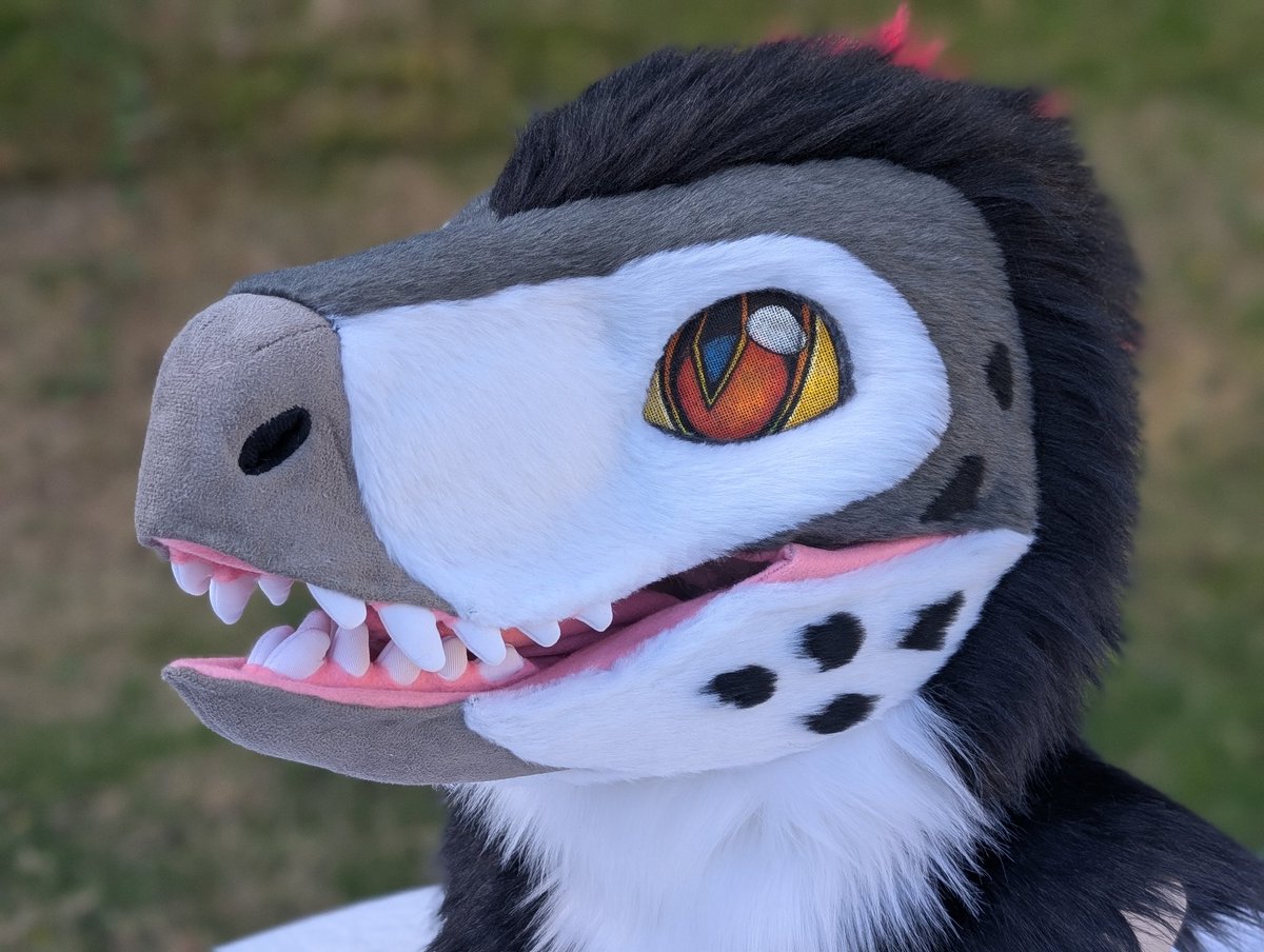 The_Peppercat's tweet photo. New premade dino head ready to go https://t.co/jlca6rd2nm