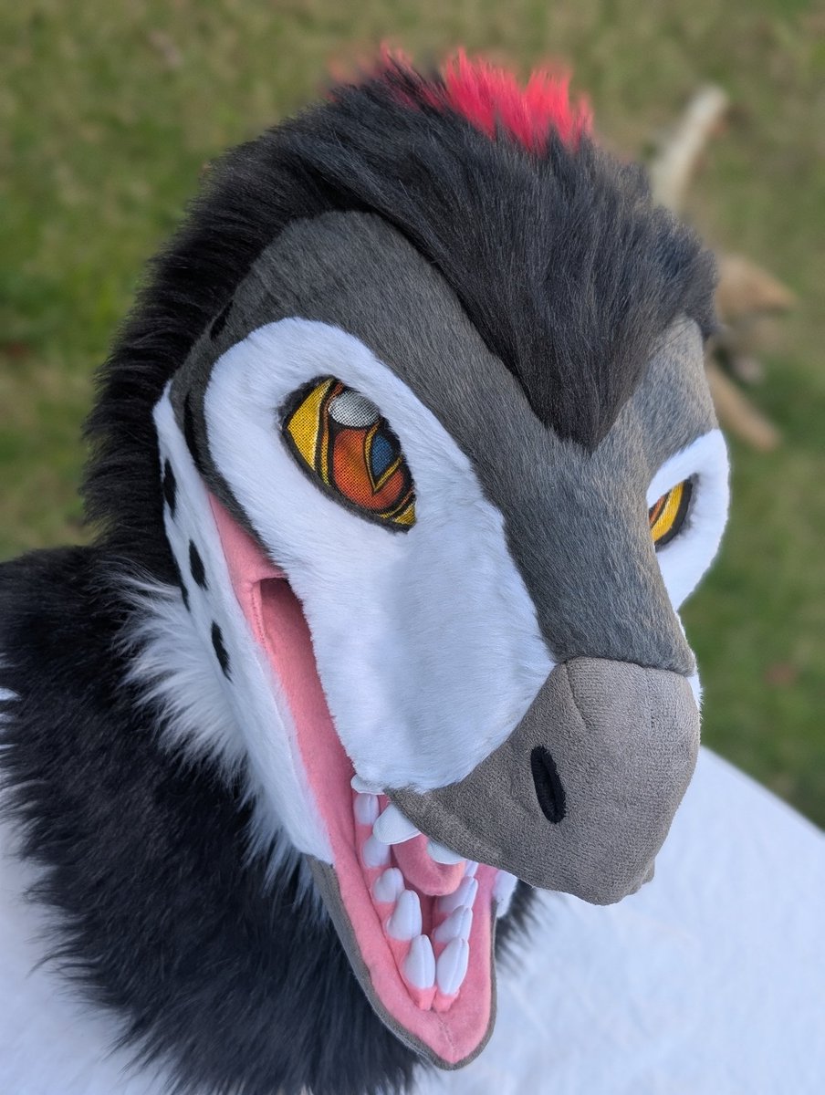 The_Peppercat's tweet photo. New premade dino head ready to go https://t.co/jlca6rd2nm
