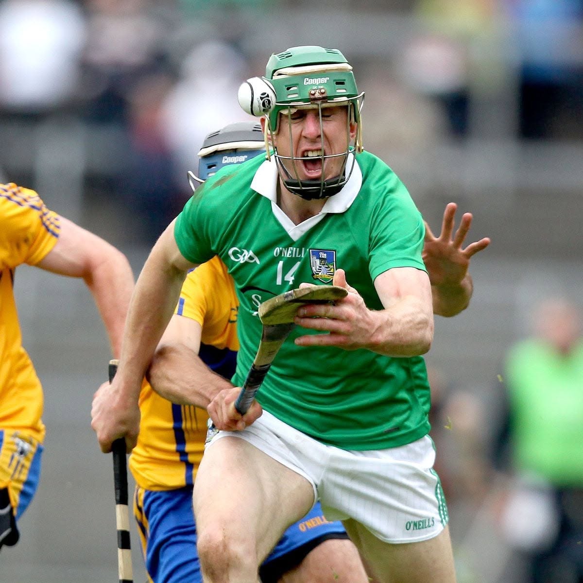 LimerickFanPage tweet picture
