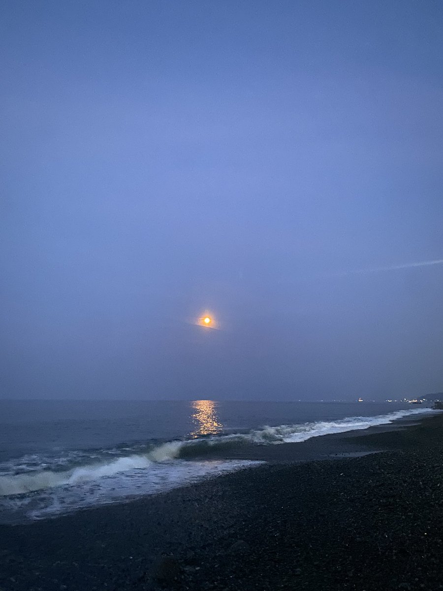 UKLG_JP's tweet photo. 小魚が釣れるときいてます https://t.co/VACvtLENyY