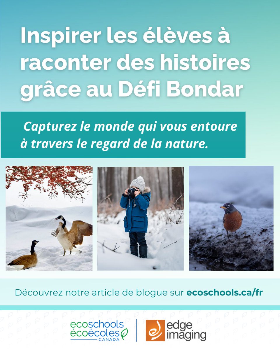 EcoSchoolsCAN's tweet photo. Photographs tell stories and capture feelings. Environmentally, they deepen our connection to nature. Read the blog to see how photography expands our appreciation for Earth's beauty. 📸🍃

👉 https://t.co/99pdbOJgdh https://t.co/XY7NsxzO1L