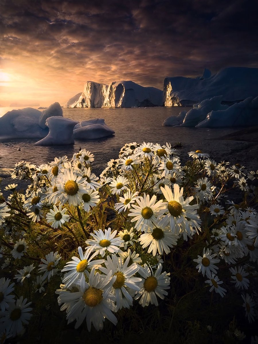 worldclick56's tweet photo. Greenland 🇬🇱 https://t.co/Wqp2rXFNS6