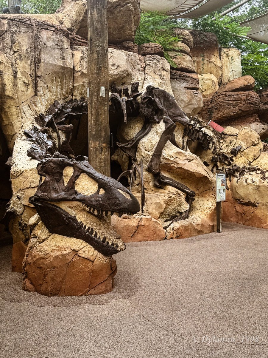 Dylannn_1998's tweet photo. Not gonna lie all the pics I’ve been posting today have been making me miss Dinoland a lot. https://t.co/alD0eQc8Sw
