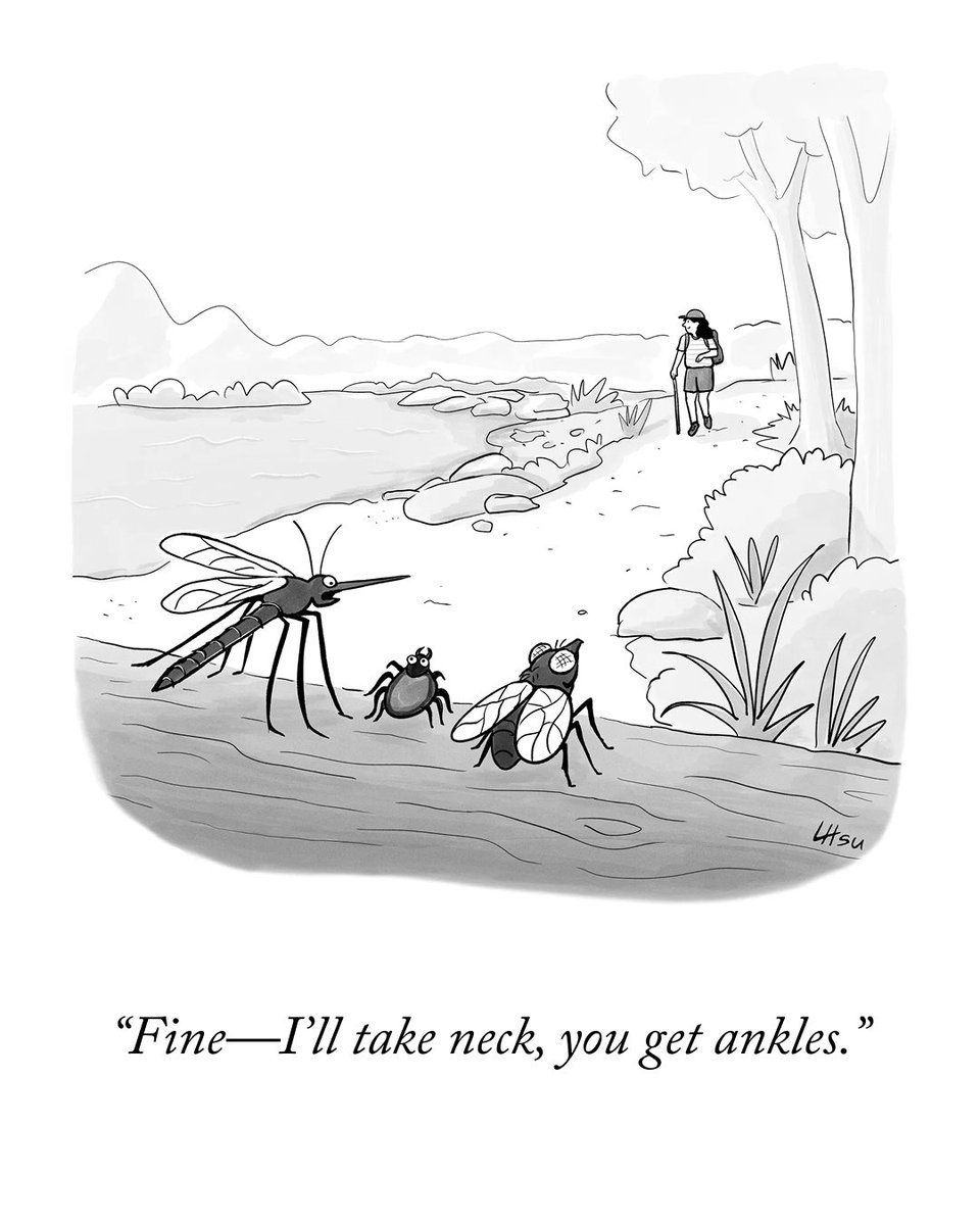 NewYorker's tweet photo. Today’s Daily Cartoon, by Lynn Hsu. https://t.co/AxCyfyEizi