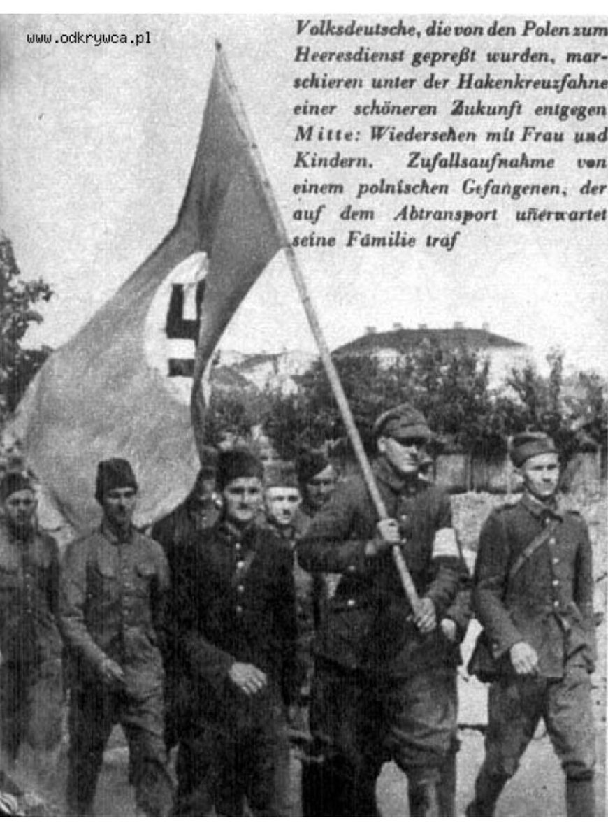 viktor_resore's tweet photo. польські колаборанти у загонах Selbstschutz у 1939 і виконували функції допоміжної міліції. 
Брали участь у масових розстрілах інтелігенції, католицьких священників, євреїв та учасників оборони https://t.co/UVHwqoYXeN