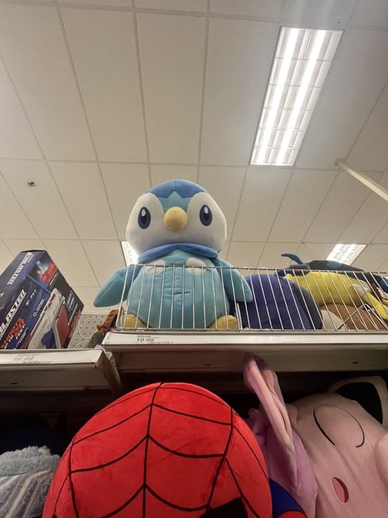 Piplupchan's tweet photo. I SEE YOU
#pokemon #piplup https://t.co/93Qu8bbRR4