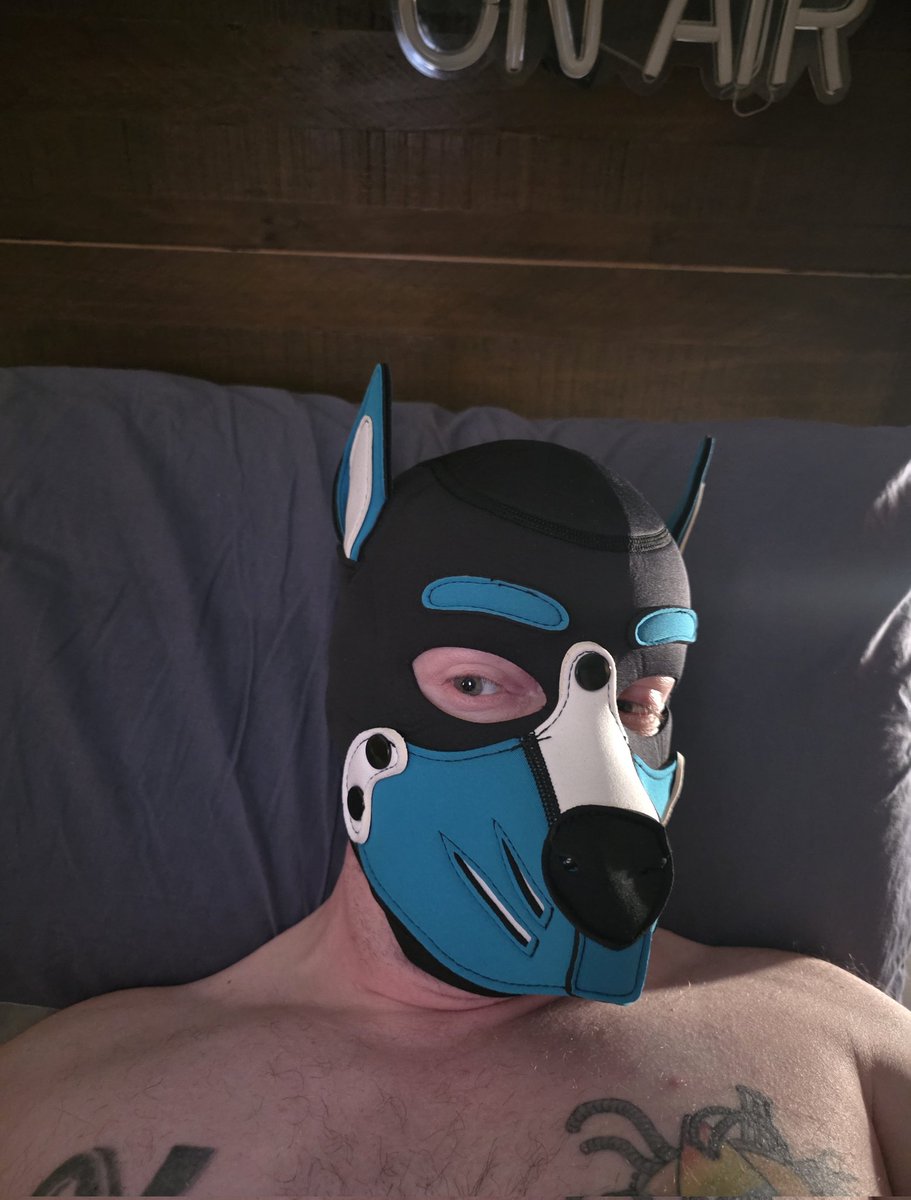 WoofThepup's tweet photo. This #musclepup has had a busy few days...
Cant you tell with his innocent face.
He has in no way been breeding for 5 days straight ππππ
The more he breeds the hornier this #badmutt gets
Who volunteers next???
#hungalpha #alphapup #pup #pupplay https://t.co/azJpN9vEAo