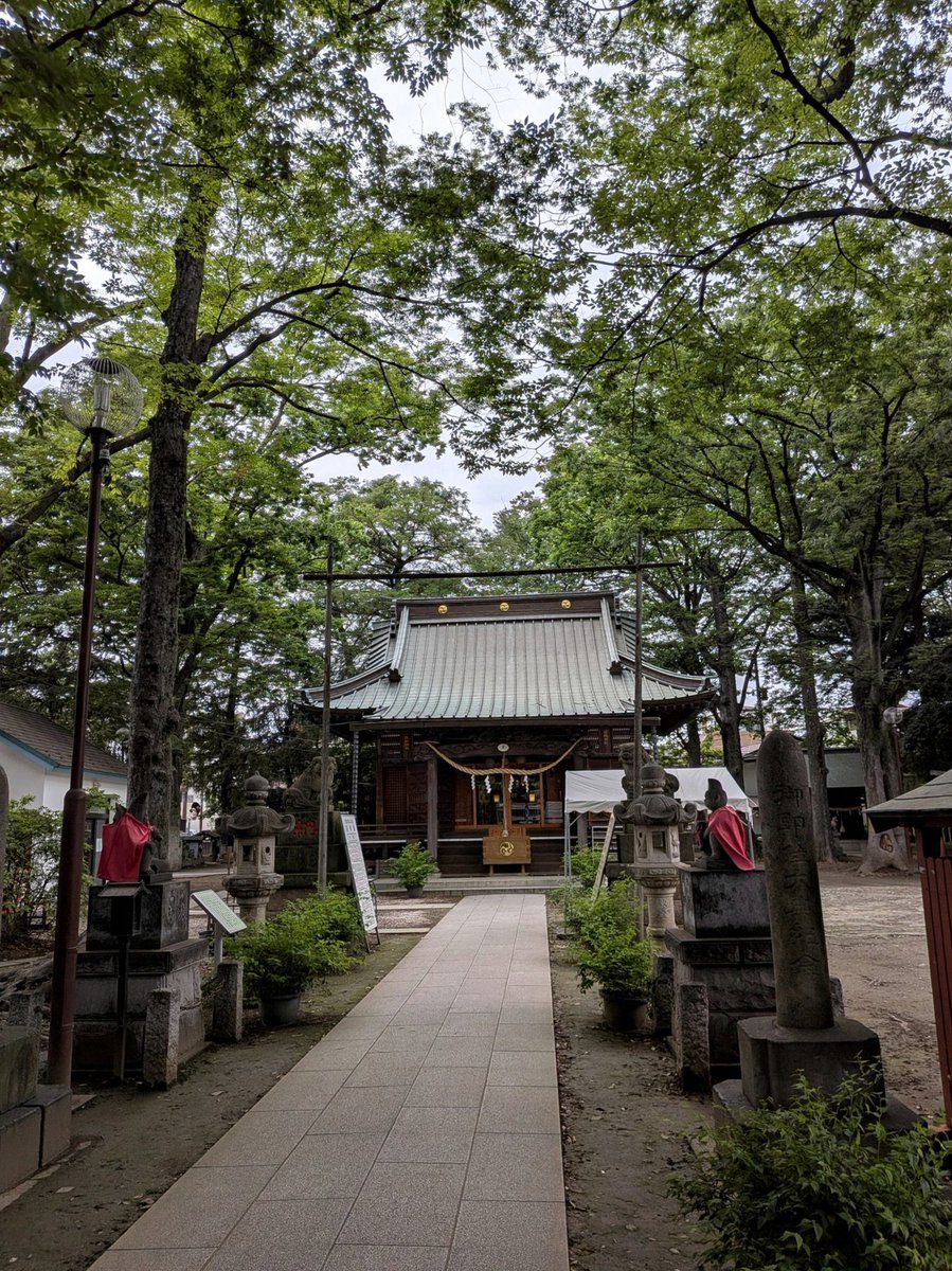 HacReyhan's tweet photo. これほんまにやばい…どうしよう😭全員好きビジュだもん…😭カード箱したら揃う仕様にしてくれ〜い https://t.co/SdCGEUFNYc