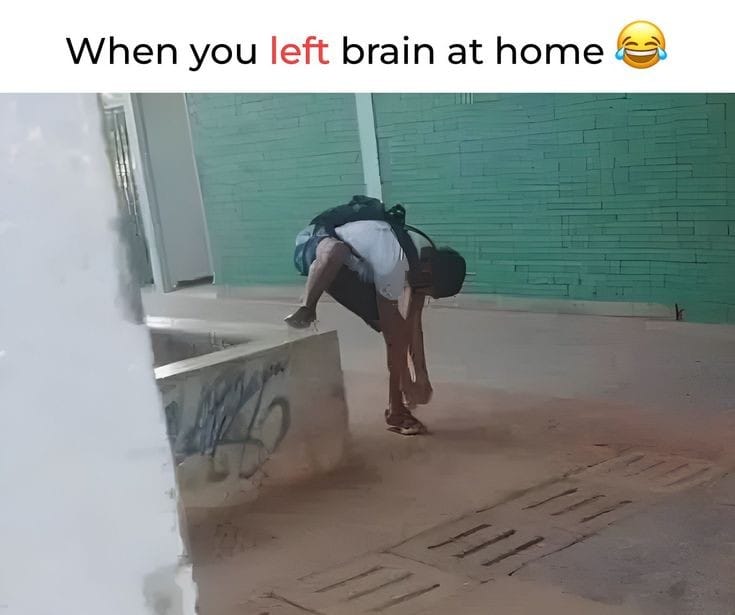 gospel98341's tweet photo. Skill issue" or "zero IQ plays"#MemeFi
#funy
#laghter https://t.co/xR4OYkJZRz
