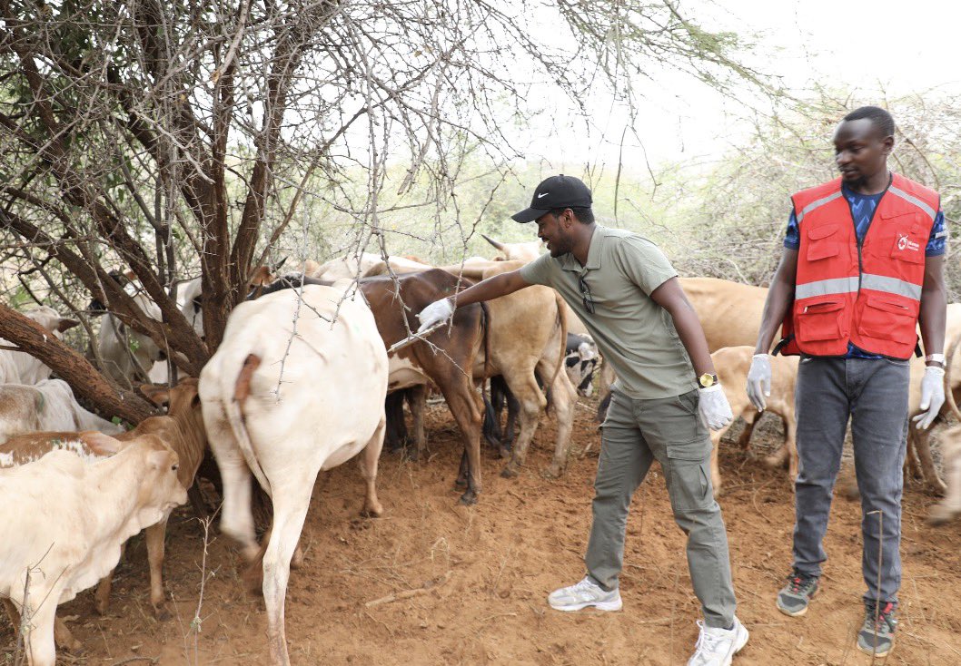 cherinet_'s tweet photo. On behalf of the IGAD Executive Secretary, H.E. @DrWorkneh Gebeyehu, I was honored to officially launch the synchronized cross-border vaccination program against priority Transboundary Animal Diseases (TADs) in both Dugo Location (Wajir County, Kenya) and Baadyare Village (Moyale District, Ethiopia). This historic initiative marks a major milestone for regional integration and pastoralist livelihoods under our mandate, aiming to vaccinate 2.7 million livestock by the end of the cycle—with 700,000 animals already protected. Notably, history was made in Wajir County with the first-ever rollout of the Foot & Mouth Disease (#FMD) vaccine, reaching over 34,500 cattle so far.

As local Elders Hajj Isaak Abdow and Hajj Abdinasir Mohamed powerfully reminded us, our pastoralist communities face mounting challenges from emerging diseases, making sustained support and prolonged vaccination drives vital to ensuring no livestock are left behind. Diseases do not recognize borders, and neither should our interventions. A profound thank you to all our development partners for making this collaborative, cross-border reality possible as we work together under Dr. Workneh Gebeyehu’s leadership to secure the health and economic wealth of our communities.