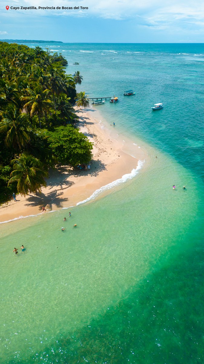 Embpanamajam's tweet photo. Temporada de pesca deportiva: el mar llama y la aventura comienza. #visitpanama

https://t.co/eRl4JqlN07

Sport fishing season: the ocean calls and the adventure begin. #VisitPanama https://t.co/6l5X12RTka
