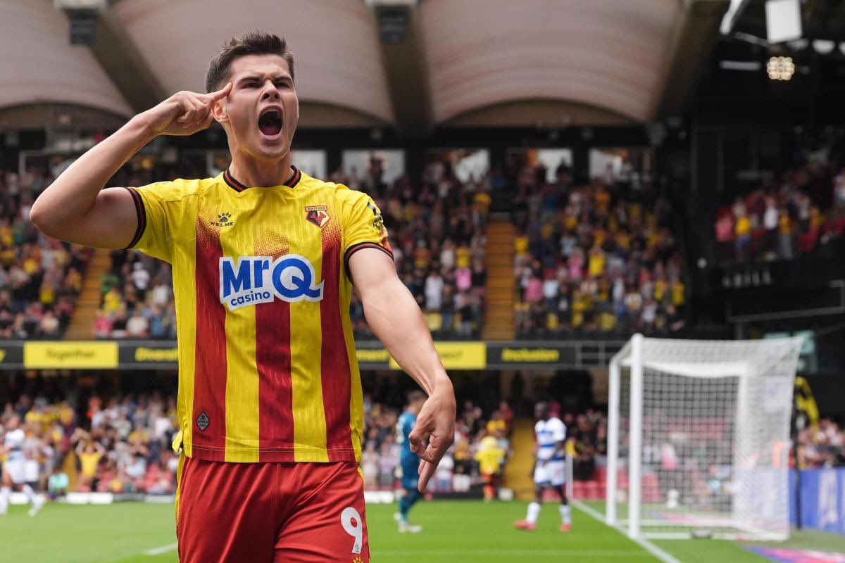 benaiton23's tweet photo. I don’t get the dislike towards re-signing Kjerrumgaard. 9 goals in his debut Championship season after stepping up from Denmark’s second tier is a good return. He shouldn’t be our starting striker, but he’s young and will only improve. Give him a chance. 

#WatfordFC https://t.co/yW8XfdLcIH