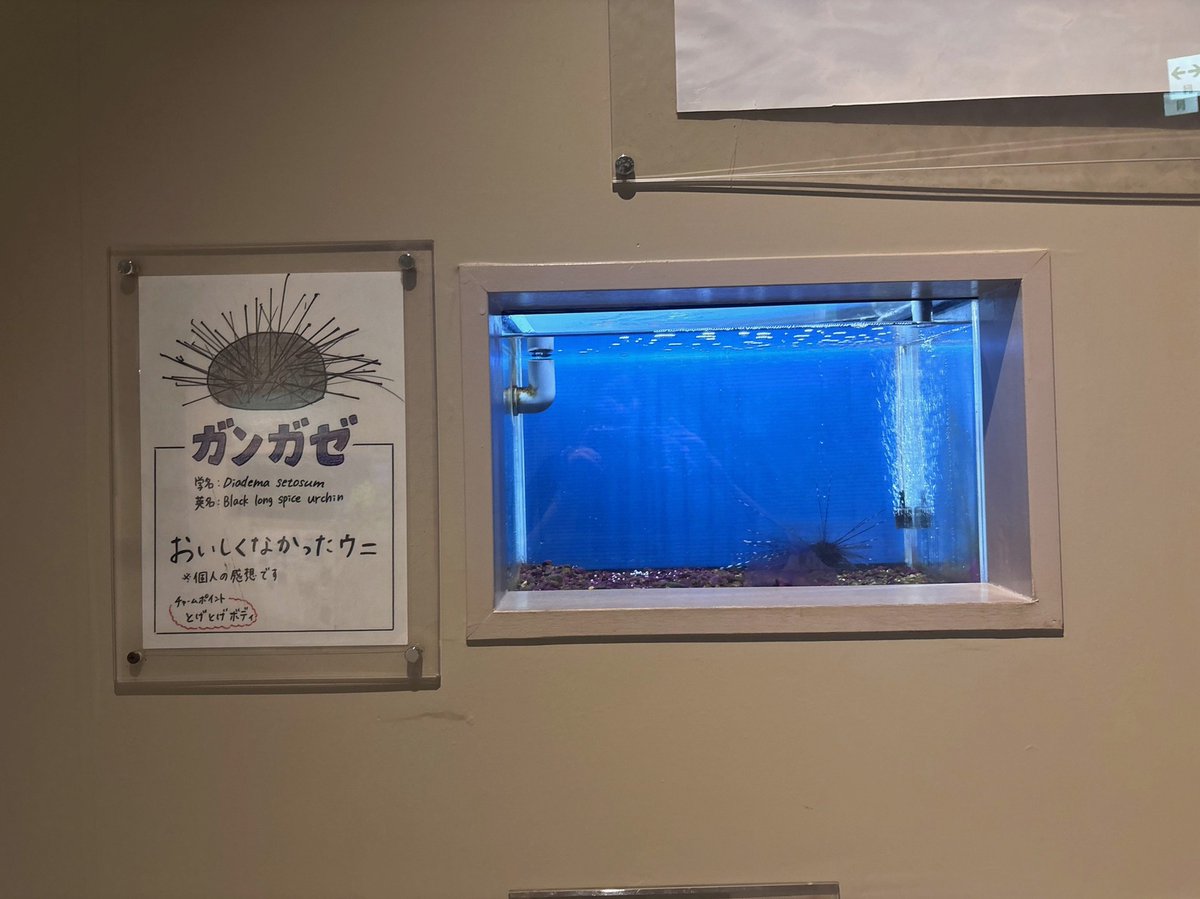 Ryan_Barron97's tweet photo. もっかい寝れるかなあ https://t.co/IPbbmbOd1d