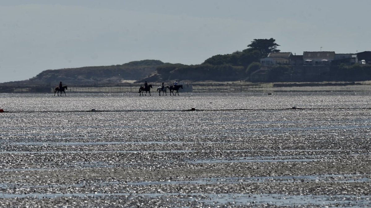 presseocean's tweet photo. La baignade sur cette plage de Loire-Atlantique est interdite jusqu’à nouvel ordre | Presse Océan
➡️ https://t.co/syWJHfezu3
#Nantes
#Repost https://t.co/nuKNfoflmM
