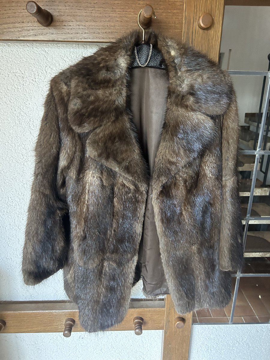 ykc0lin's tweet photo. Selling my Mink Coat 
2,800€  Hmu https://t.co/jp96JdwxAS