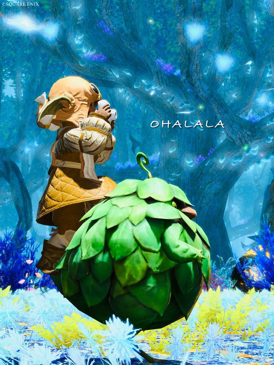 siz_hamtaro's tweet photo. #おはララ
あーっ、イイねっ！
そうそう、あーっ、もうちょっと右っ
そう、いけたらも少し背伸び出来る？🌱

あー、そうそう！良いアングルっ
そのままストップでお願いしま〜す

ﾊﾟｼｬ( ◜ω◝و(و📷*･ﾊﾟｼｬ

🏷️ #FF14 https://t.co/4PY63it8tq