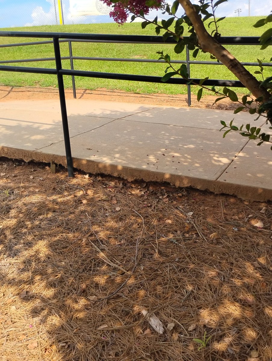 BrianGay13845's tweet photo. @FOX5Atlanta Your kin wants one near I homeles cases Heritage Park 300 thou wow each Material/Product Defects Workmanship Defects construction defects breach of contract product liability @KennethNugent @McDonoughLaw @McdonoughSawyer @McdonoughLawyer lots of business if yall ever sign with me https://t.co/WsLX4ZlZ9k