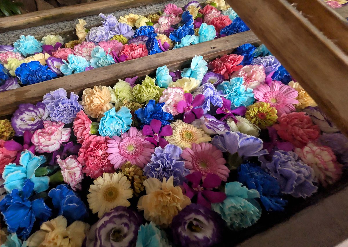 chiyodaisan's tweet photo. 花手水（東京大神宮）
フラワーアーティスト高橋弘実氏の装花演出による「天空の煌き花手水」が始まりました。星々の煌きを花々で織りなす幻想的なフラワーアートで、七夕の時季限定の特別な花手水です。期間：7月1日～7日
#花手水 #東京大神宮 #高橋弘実 #天空の煌き花手水 #TokyoDaijingu https://t.co/oH0KbtBRZA