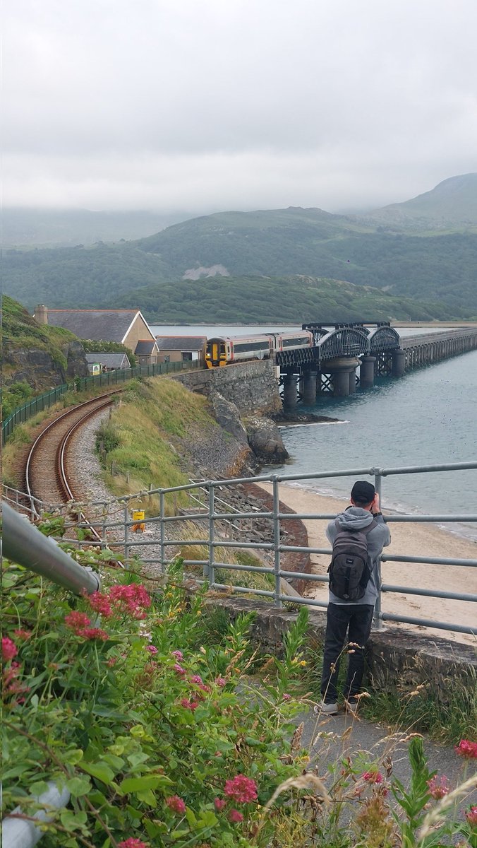 SusanComerie's tweet photo. Back to Friday 26.06.2026 & our arrival at a nice cool welcome temperature at #Barmouth after a hot day & Edward finally gets to see & do a little @transport_wales 158 spotting at #BarmouthViaduct which has been on his list for ages, 158830, 158821 & 158825 ๐ https://t.co/OOOX2S96JJ
