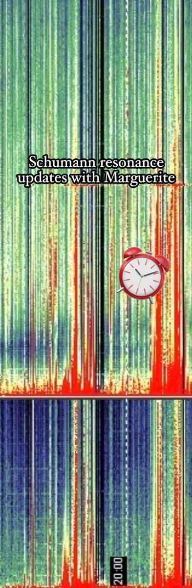 PaulGoldEagle's tweet photo. 💥Did you notice the Timeline Shift Opportunities a few hours ago⁉️
🎵 time keeps on slipping slippin' slippin'… Into the future🎵
🚀💺🚀🚀🚀🛸🚀🚀🚀💺💺🚀🚀
I can't believe its ALREADY 8:38 pm‼️⏰⏰⏰⏰🕊️⏰⏰⏰⏰🕊️⏰⏰⏰⏰
⁉️Did you sense it – – did you experience any timeline shifts or spatial anomalies⁉️
Golly! I could take a nap right now! 💤
💥How are you doing/feeling⁉️
8:40 PM EST, 6/29/26 

Schumann Resonance Updates With Marguerite