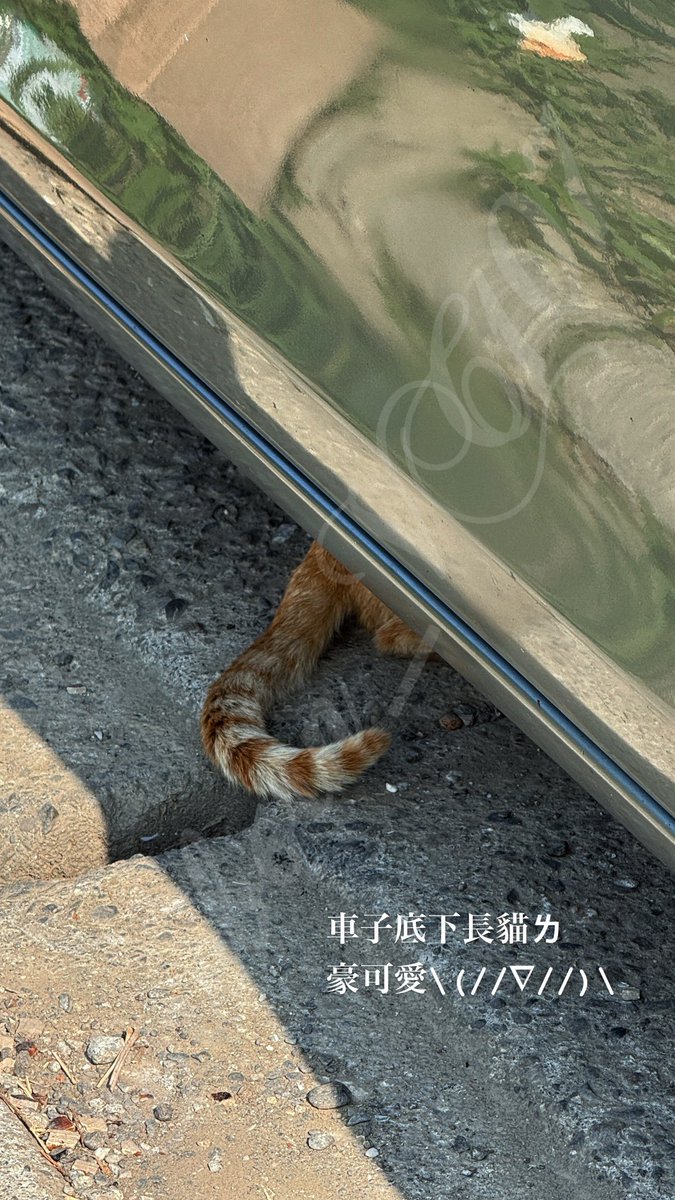 wadeChen1's tweet photo. 在西螺晃了一下，真的覺得以後去雲林得超早起才行⋯這裡大家都好早睡早起，店家也關門關得好早喔🫠

臭豆腐上面加九層塔，蠻驚喜的耶。
我其實對不熟悉的味道適應力有點差，想到七月要去馬尼拉，大概得花不少時間習慣吧⋯還好只待一週？😆

超愛隨處可見的悠閒阿姨叔叔們，坐在塑膠椅上聊天，腳 https://t.co/QuctfsrQ9g