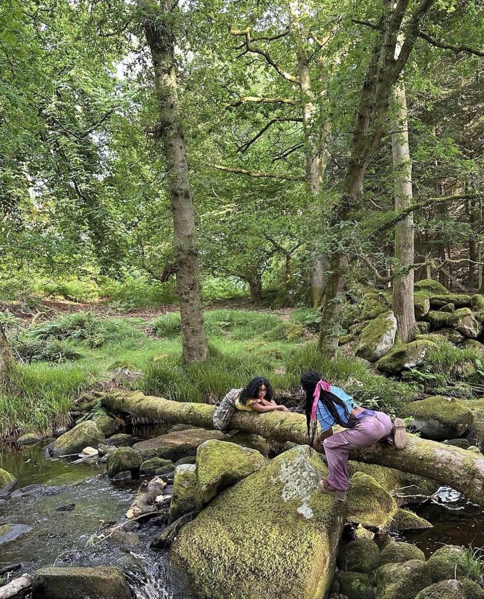 layxsnv's tweet photo. I love unpredictable fun friends.. like ofc I want to explore the forest with you &amp; talk to the birds 😆 https://t.co/B3ZtMkCKOR