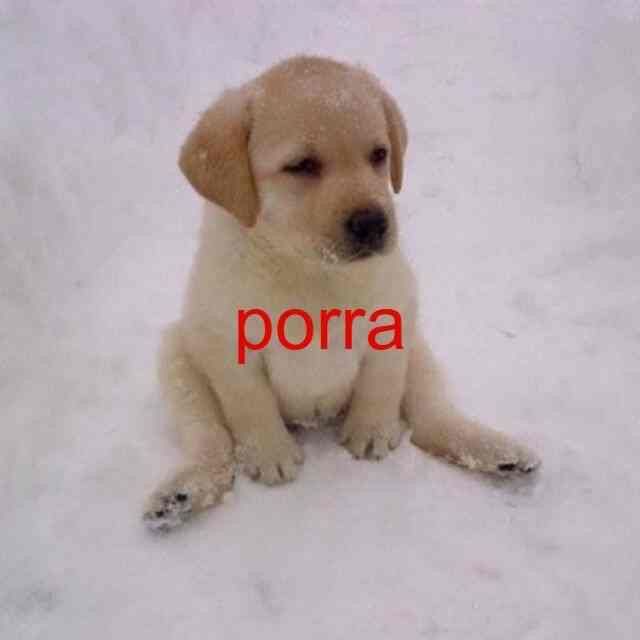 fancy_luni's tweet photo. @fallinguwo Odeio gostar de homem https://t.co/fI39wmj4uR