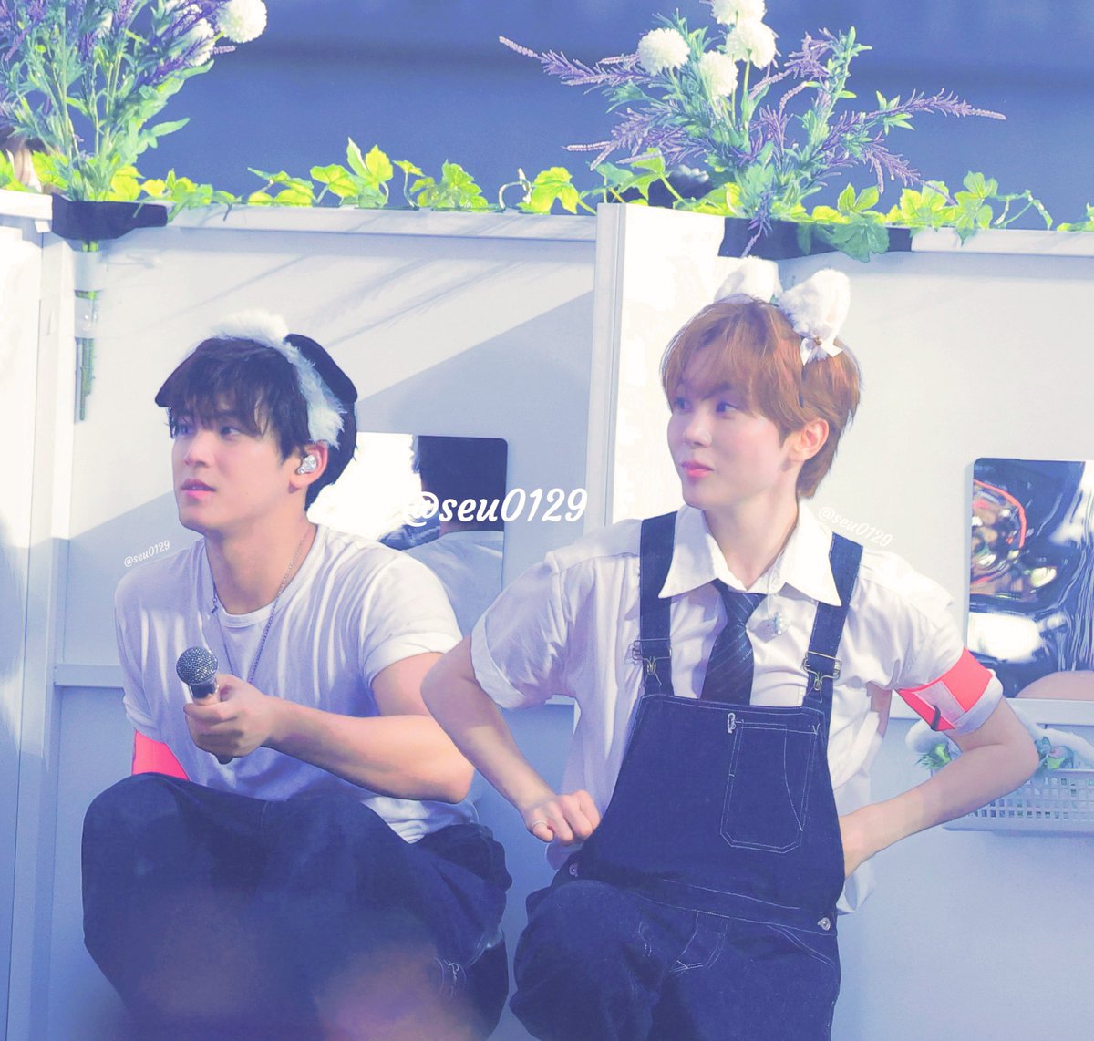 260621 CARAT LAND 🐶🍊 🚫re-edit 🚫logo crop #seungkwan
