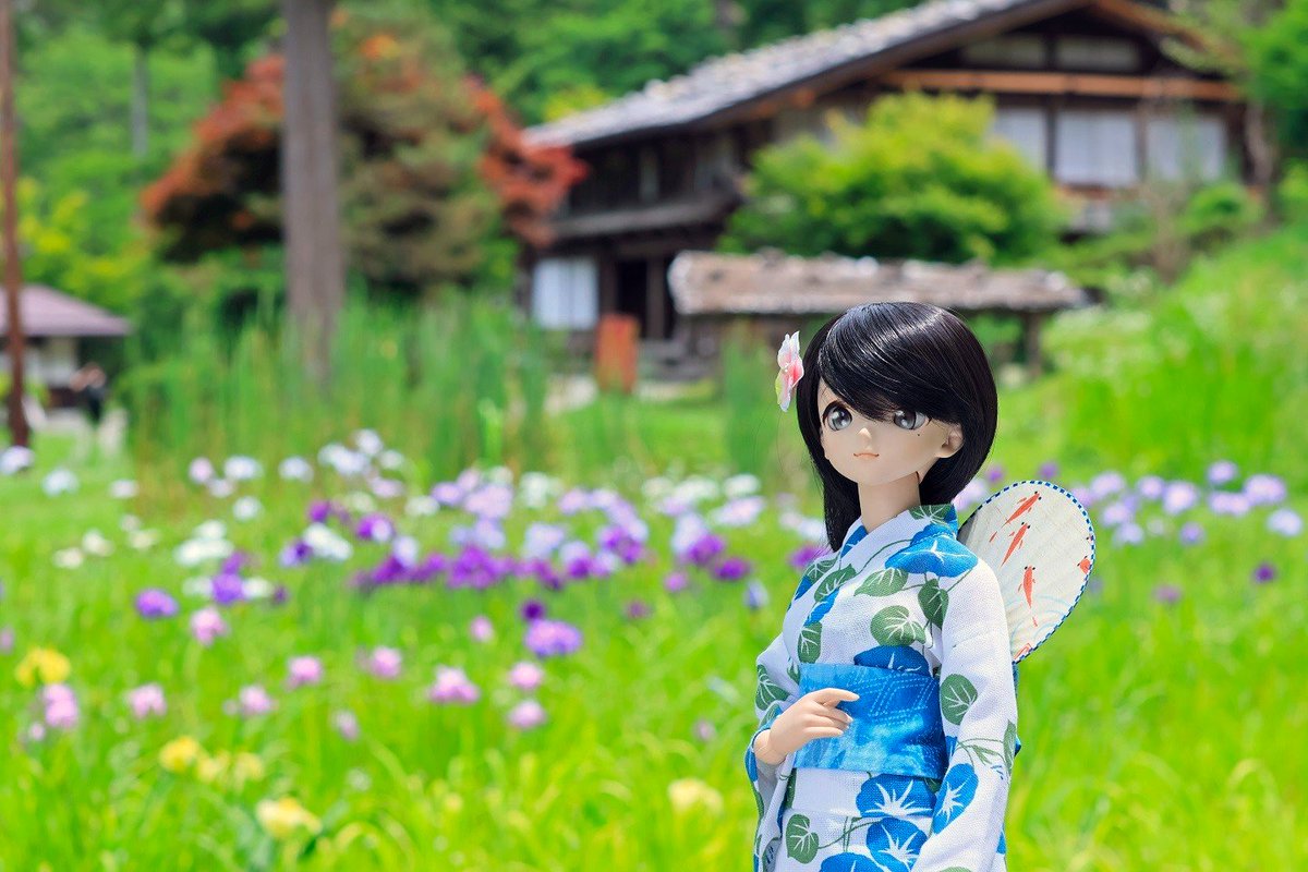 captainpopiky's tweet photo. #うちのこかわいい 
#ドールオーナーさんと繋がりたい
#ドルフィードリーム

おはようございます〜
2026年後半もよろしくお願いします〜😉👍 https://t.co/VRTZBsCdSC