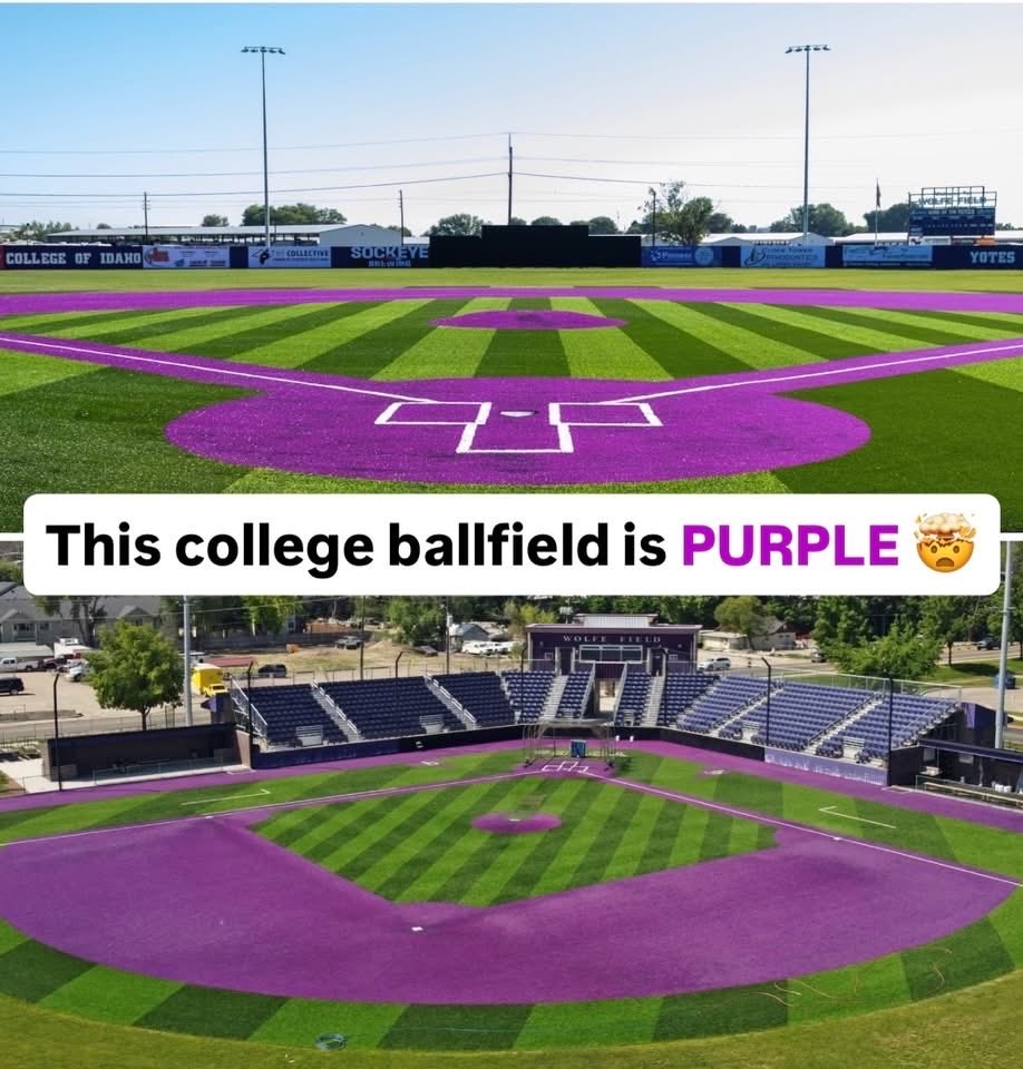 DJsupernick's tweet photo. @FivePointsVids  wolf field Caldwell Idaho have u ever seen a colored In field before this one is purple https://t.co/tYzWw2HaLD