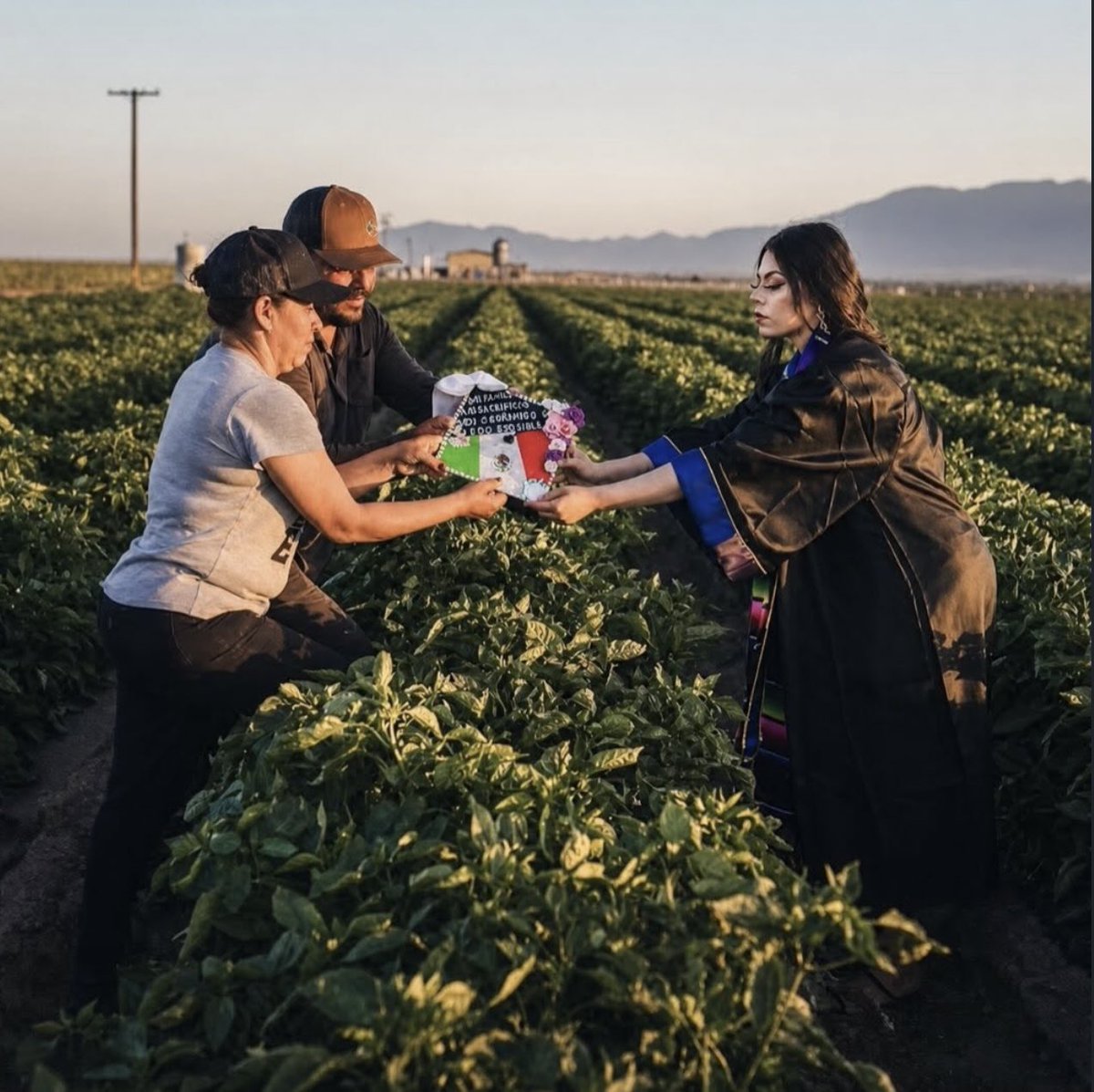 metrofive5's tweet photo. She took her graduation photos in the fields where her parents worked to build her future 🥹❤️ https://t.co/ES7i4YhHMd