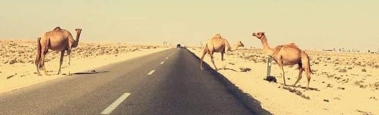 v80r_1's tweet photo. لقيت بـ الصمت رفعه و بـ التخطي سمو
     ولقيت بالوقت درس وبالاوادم عبر https://t.co/Wmcn8wp2H3