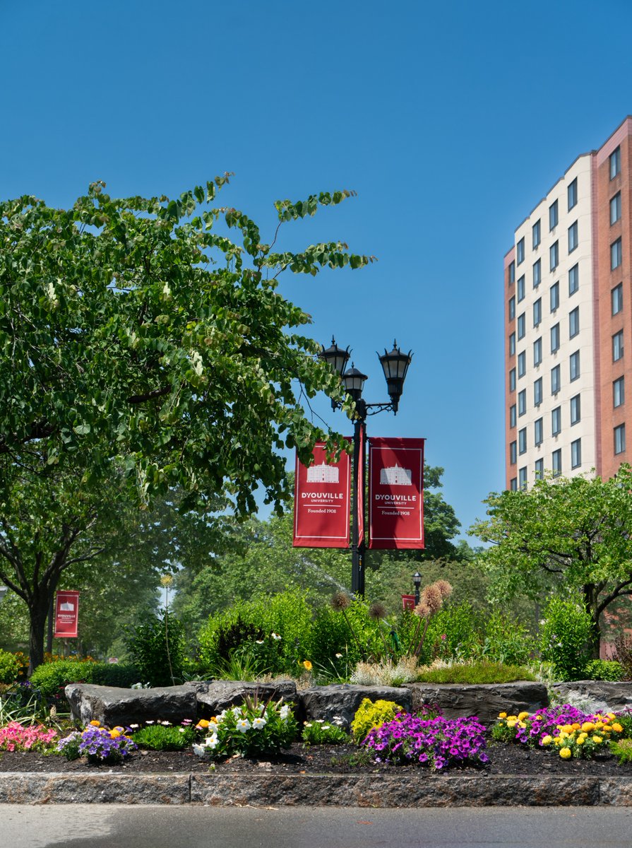 DYouville's tweet photo. Summer mode on campus ☀️ 😎 💐  (just missing some more Saints) https://t.co/Ns5Q5Y08aE