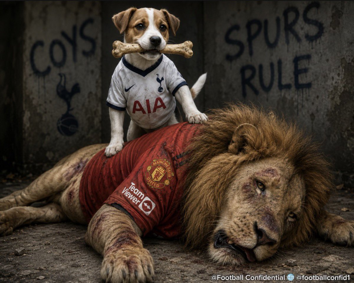 footballconfid1's tweet photo. Hey @markgoldbridge, just checking in 👋 https://t.co/cWdV1d1rtt