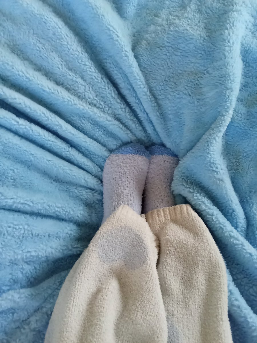 CozyMilaB's tweet photo. Today's mood: warm, fuzzy, and impossible to leave the blanket. 💕🌦️
#wiggle #toewiggles #feet #cute #fuzzysocks #cozy #milab #foot #toes https://t.co/urlxCZsTKW