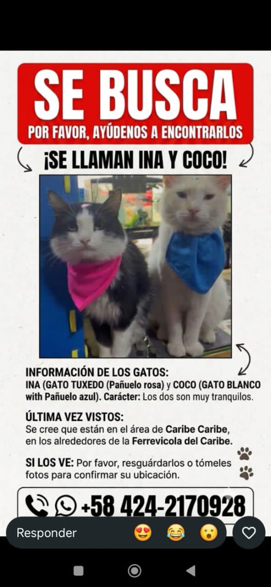 gracon27's tweet photo. #LaGuaira
#ElCaribe
🚨🚨🚨🚨🚨🚨🚨🚨🚨🚨🚨
                      SE  BUSCAN https://t.co/boextOO9eF