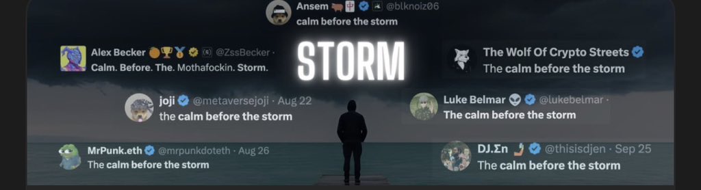 Ellreyyyyyy's tweet photo. @OnlyLJC almost all CT say about ‘ Calm Before The Storm ‘

Yo maybe if CT like ansem say about this again this will be huge 

$STORM 

D3kNcq43nXta2FBaG4pRyH89mrGACdtk9ycdPnv7pump https://t.co/MU6eQR6LZe