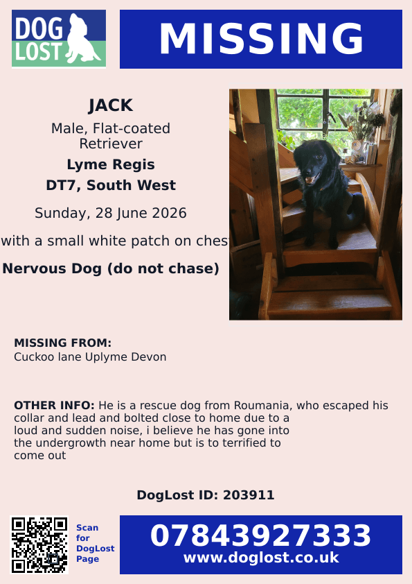 millypod1's tweet photo. π28 JUNE 2026 #Lost Jack #ScanMe
YOUNG Flat-coated Retriever Male #Rescue
Nervous Dog (do not chase)
Cuckoo Lane #Uplyme #LymeRegis #Devon #DT7
https://t.co/hXlpJYdoBw https://t.co/5vVebzH2Aa