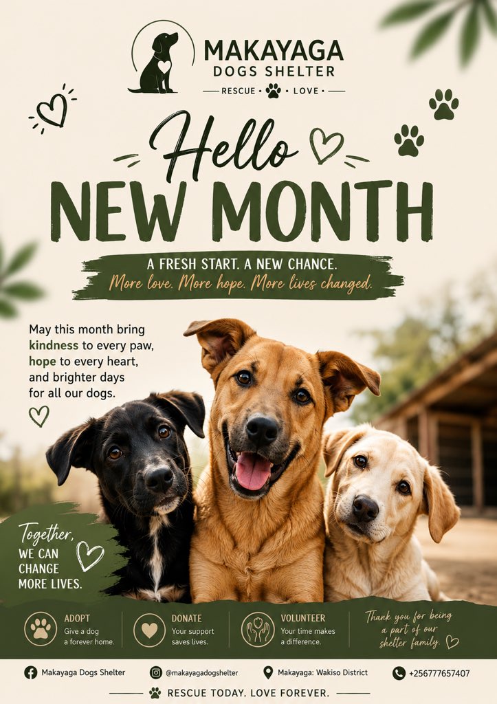 MakayagaDogs's tweet photo. 🌿🐾 Hello, July! 🐾🌿
https://t.co/M0O5idpVs3 
A new month brings new hope, new beginnings, and new chances to change lives. At Makayaga Dogs Shelter, every rescued dog is waiting for kindness, safety, and a loving future. As we welcome this month, we are grateful for everyone https://t.co/iHSGoETjpe